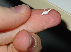 A challenging miniature version of a paper crane