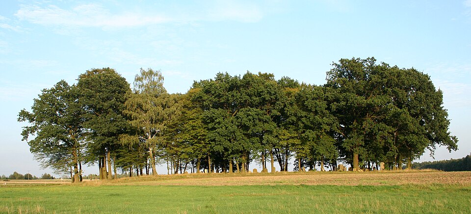 File:Kirkut Cieszowa 789.jpg