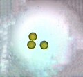 Thumbnail for version as of 17:02, 9 June 2022