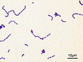 Thumbnail for version as of 14:33, 6 April 2006