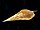 Stub icon