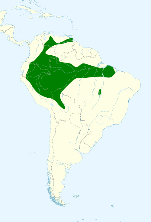 File:Ammodramus aurifrons map.svg