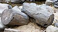 Thumbnail for version as of 16:59, 11 May 2014