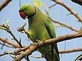 Thumbnail for version as of 14:18, 16 June 2014