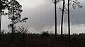 Thumbnail for version as of 18:38, 20 June 2019