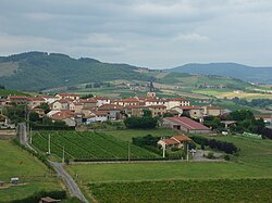 A general view of Dareizé