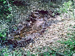 The Blattbach source