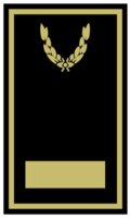 Thumbnail for version as of 07:52, 13 November 2020