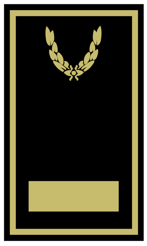 File:Ensenya inspector mossos d'esquadra.png