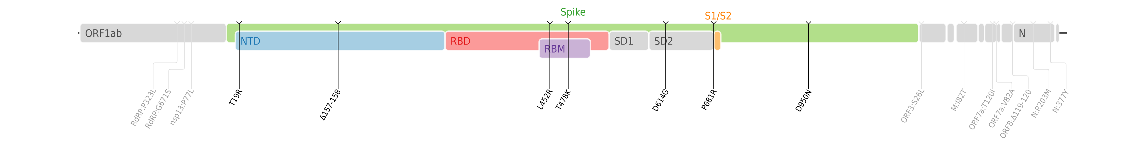Amino acid mutations of SARS-CoV-2 Delta variant plotted on a genome map of SARS-CoV-2 with a focus on Spike.