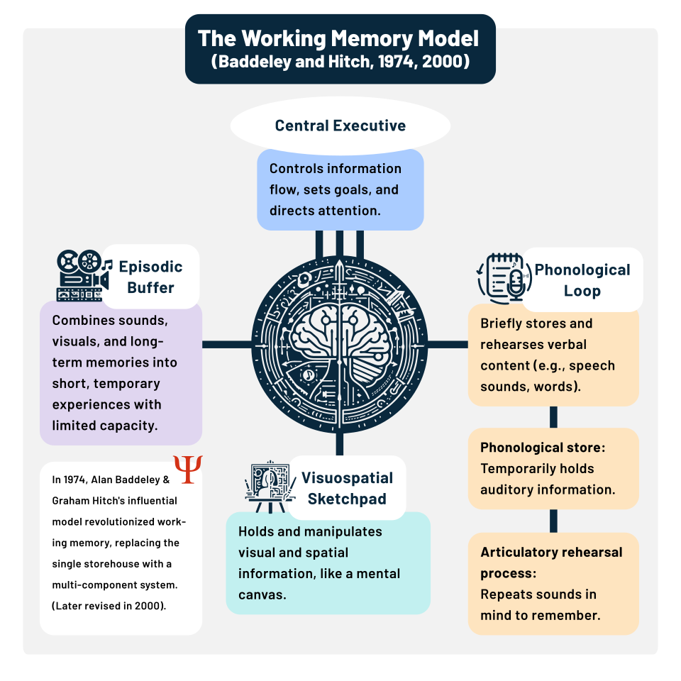 File:The Working Memory Model.svg
