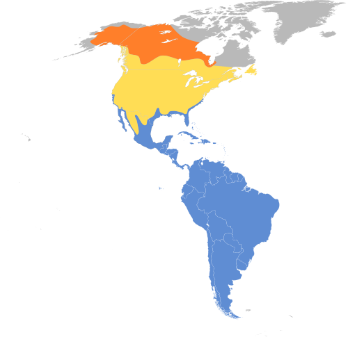 File:Tringa flavipes map.svg