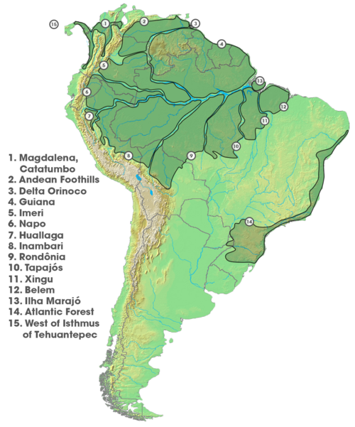 File:Areas of Endemism (South America).png