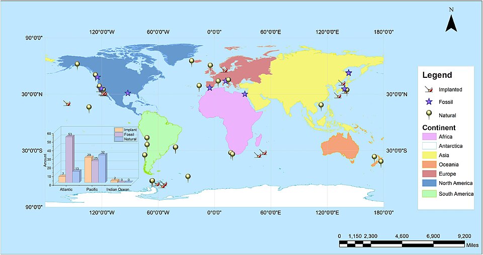 File:Distribution of known whale falls.jpg