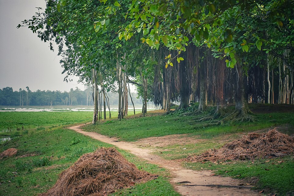File:Green Paradise in Pirganj.jpg