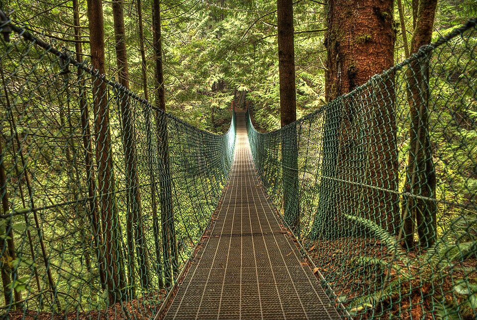 File:Juan de Fuca Trail Suspension Bridge.jpg