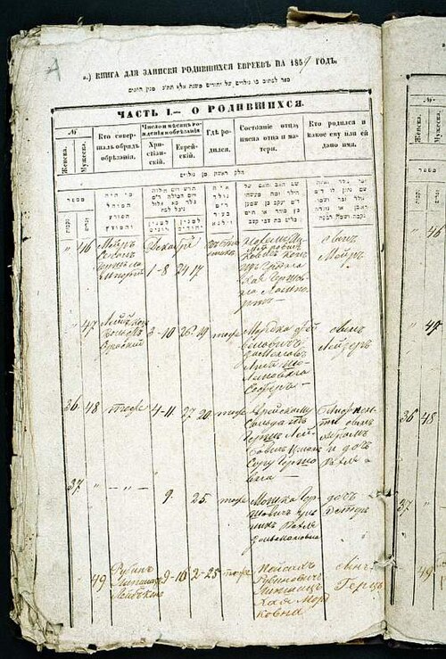 File:LL Zamenhof birth certificate.jpg