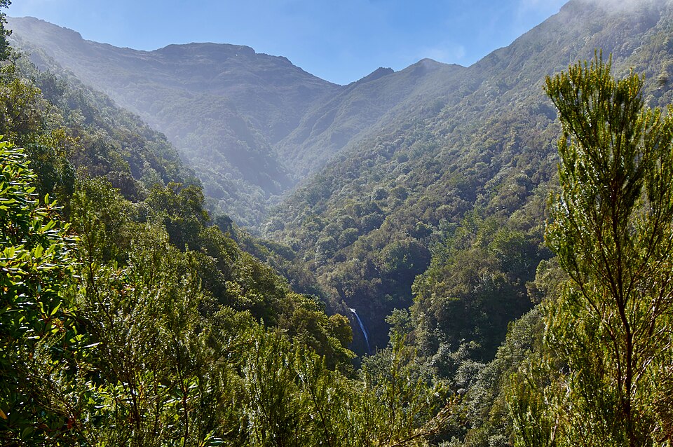 File:Levada do Caldeirão Verde, Madeira (09611).jpg
