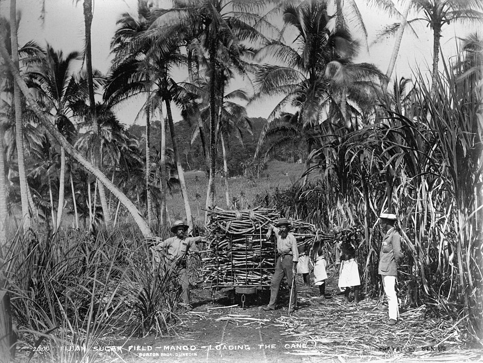 File:Mago island1884.jpg