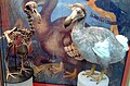 A Dodo.
