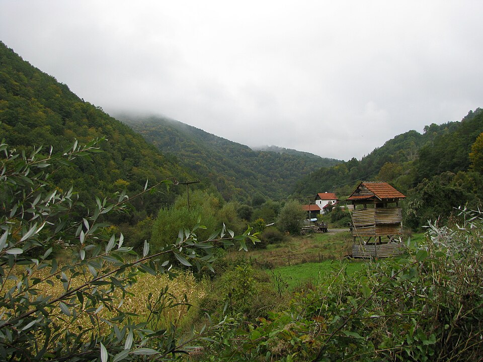 File:Rikacevo2.JPG