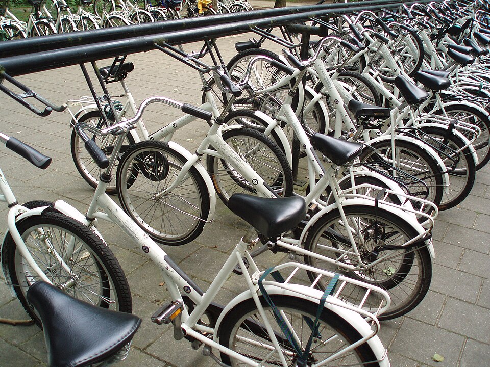 File:Witte Fietsen Veluwe.JPG