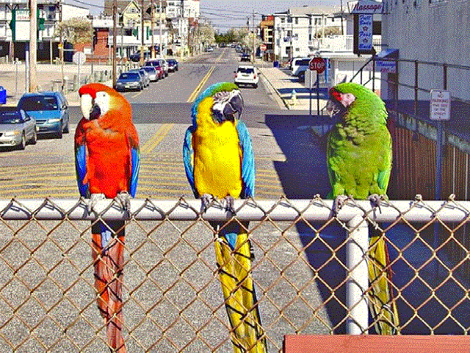 File:640x400x256 ar corrected.png