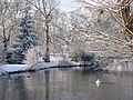 Thumbnail for version as of 20:03, 2 November 2007