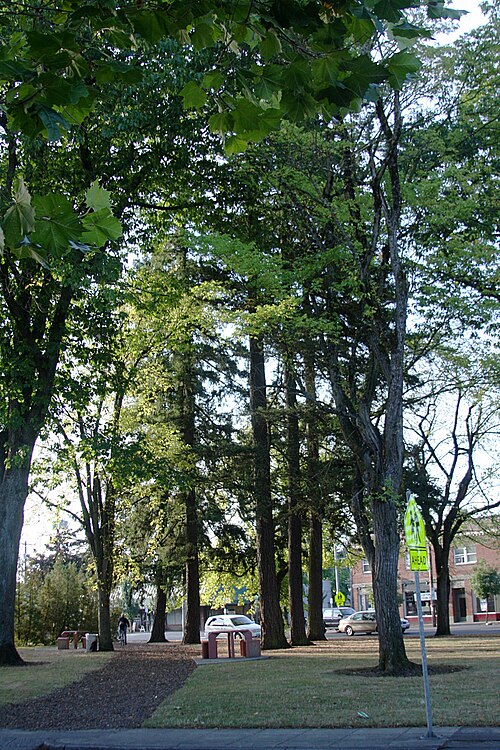 File:Laurelwood Park (Portland, Oregon).jpg