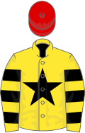 Yellow, black star, hooped sleeves, red cap