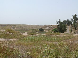 Photograph. Refer to caption