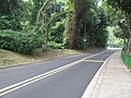 Mount Faber Road