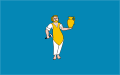 Flag of Gmina Koszęcin