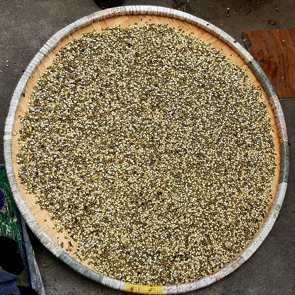 File:Pulse in Nanglo.jpg