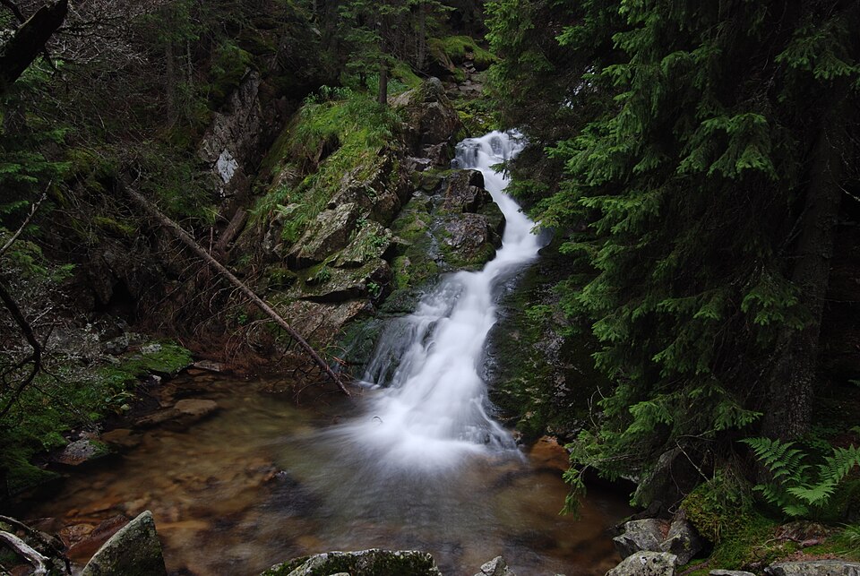 File:Retezat Mountain - Spring Waterfall 02.JPG