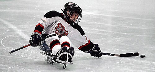 Para ice hockey