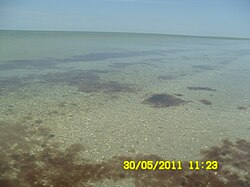 The shallow waters near Nyzhnohirskyy