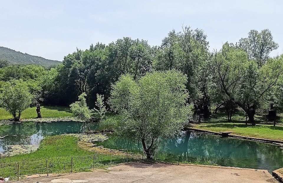 File:Vitoja Spring.jpg