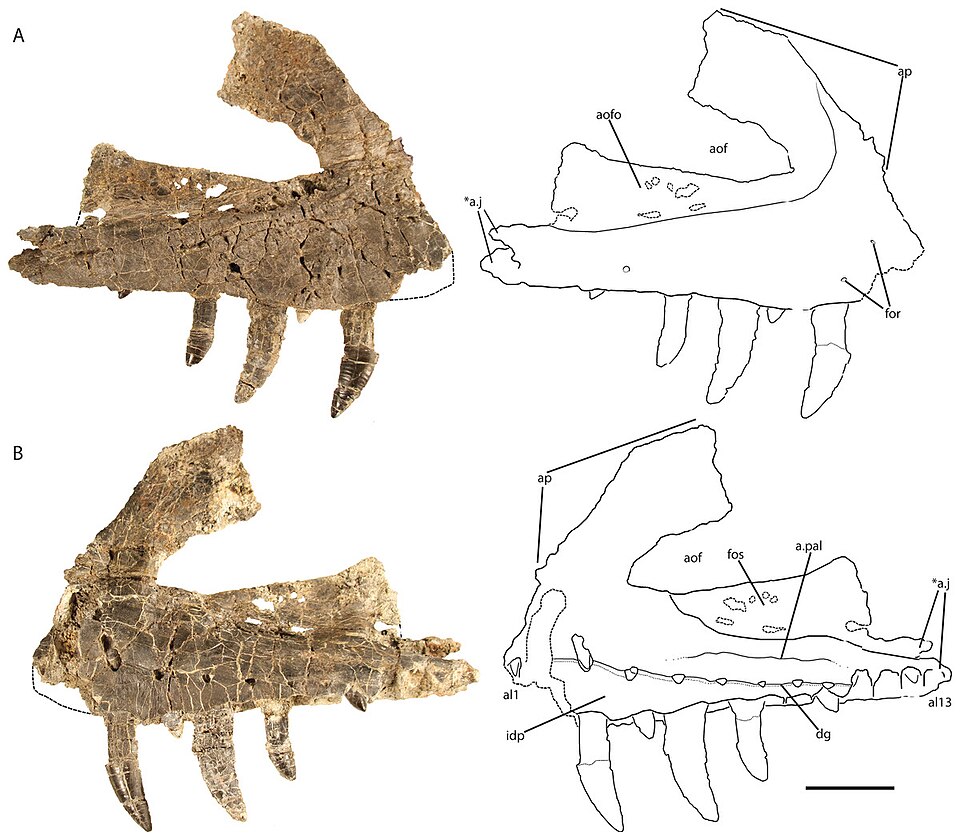 File:Vivaron.jpg