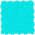 Cairo pentagonal tilinggQ