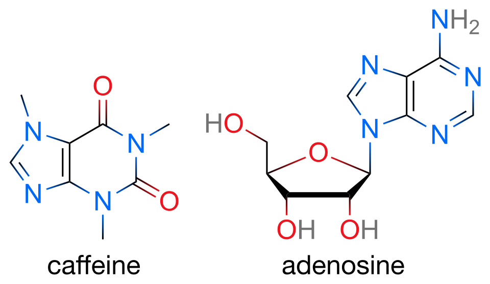 File:Caffeine and adenosine.svg