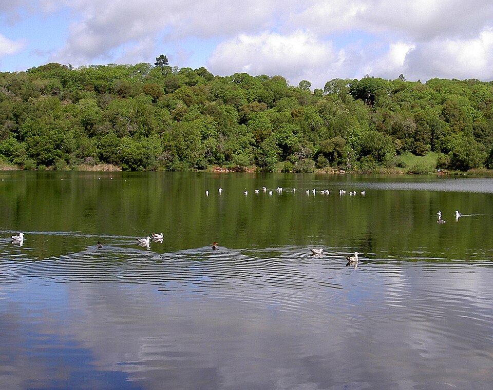 File:Lake Ralphine 3586.jpg