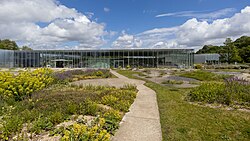 Louvre-Lens