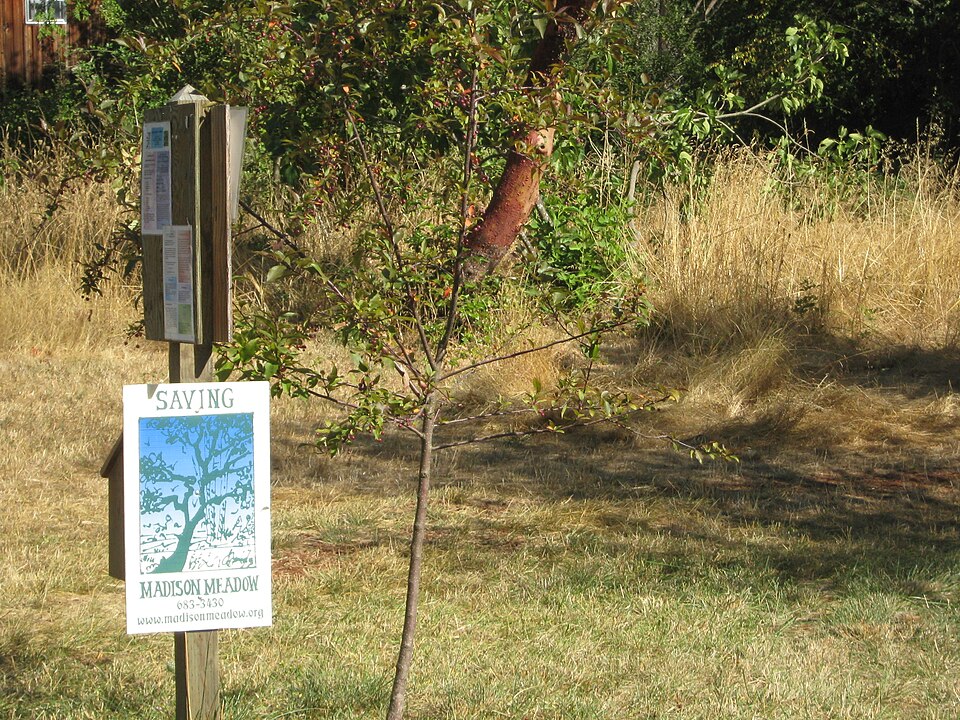 File:Madison Meadow w Sign.JPG