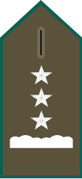 File:SS.OO.6.CARAB.BLUSON.CORONEL..svg