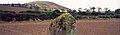 Thumbnail for version as of 03:24, 1 June 2006