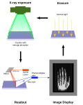 Thumbnail for version as of 17:04, 29 July 2017