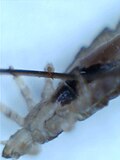 Thumbnail for version as of 20:35, 11 May 2012