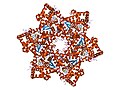 SV40 large T antigen