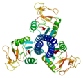 Thumbnail for version as of 07:12, 24 December 2009